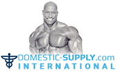 int.domestic-supply.com